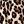 Beige Leopard