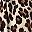 Beige Leopard