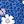 Blue Floral