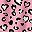Pink Leopard
