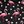 Black Pink Print