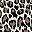 Leopard Print
