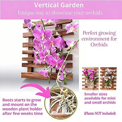 Kaelin Home Wall Planter - 2 Pack