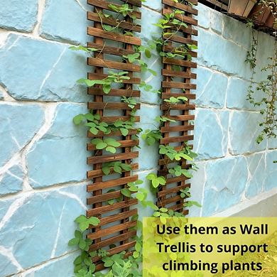 Kaelin Home Wall Planter - 2 Pack