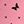 Pink Black Butterfly