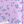 Cream Lavender