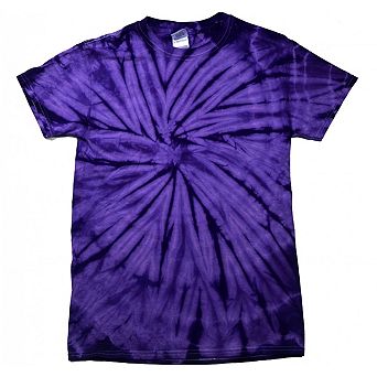 Colortone Adults Unisex Tonal Spider Short Sleeve T-Shirt