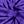 Spider Purple
