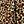 Brown Leopard