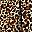 Brown Leopard