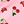Pink Cherry