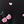 Pink Cherry