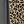Black Grey Leopard