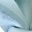 Lotus Leaf Blue