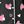 Black Pink Hearts