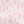 Pink Leopard