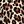 Black Leopard