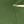 Deep Green