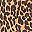 Brown Leopard
