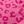Pink Leopard