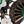 Fan Dark Green