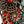 Flower Dark Red