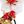 Tassel Dark Red White