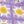 Flowers Purple Beige