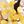 Pearl Black Yellow