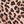 Brown Leopard Print