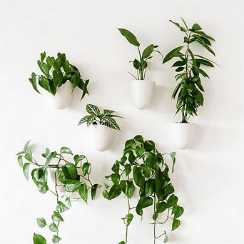 Kaelin Home Self-Watering Wall Planters (Set of 6)