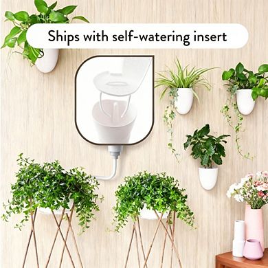 Kaelin Home Self-Watering Wall Planters (Set of 6)