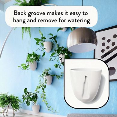 Kaelin Home Self-Watering Wall Planters (Set of 6)
