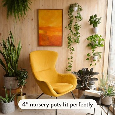 Kaelin Home Self-Watering Wall Planters (Set of 6)