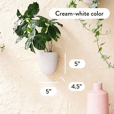 Kaelin Home Self-Watering Wall Planters (Set of 6)