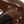 Dark Brown Coffee