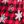 Pat Red Plaid