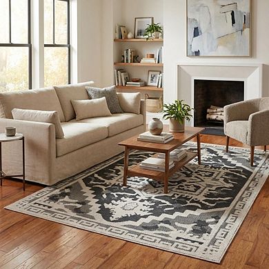 Distressed Area Rug Machine Washable Vacuum Clean Ultra Thin Stain Resistant Carpet for Living Room