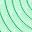 Fluorescent Green