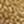 Dark Brown Yellow