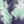 Blue Tie Dye
