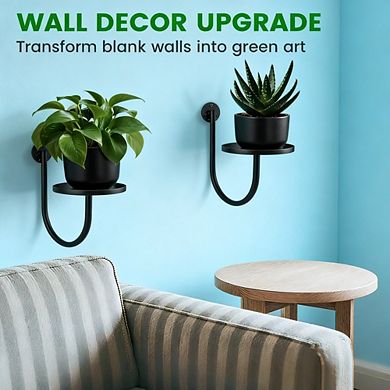 Kaelin Home Wall Planters for Indoor Plants