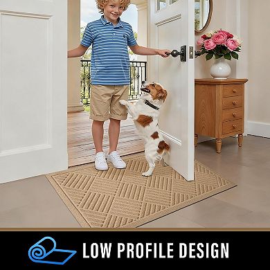 Front Door Mat Absorbent Non-Slip Rubber Backing Low Profile Easy Clean 29x17
