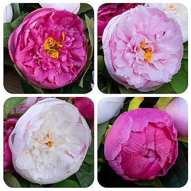 Spring Summer Wreath: Artificial Peonies, Black White Striped Bow, Front Door/Indoor/Outdoor Decor