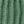 Gray Green