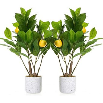 2 Pack 20" Artificial Lemon Tree with Pot