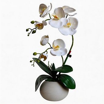 Kaelin Home Fake Orchids with Vase