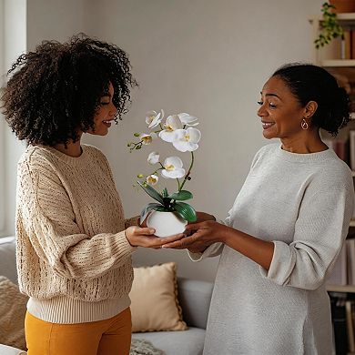 Kaelin Home Fake Orchids with Vase