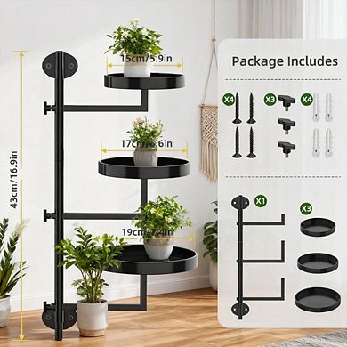 Kaelin Home Rotating Window Plant Shelves