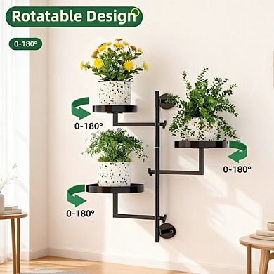 Kaelin Home Rotating Window Plant Shelves